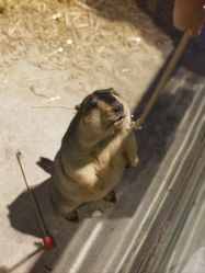 -酷嗒动物文化乐园(cutezoo西溪乐天城店)