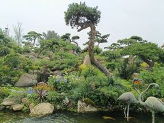 -罗红摄影艺术馆