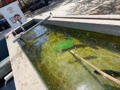-向外鱼乐·土菜·虹鳟鱼