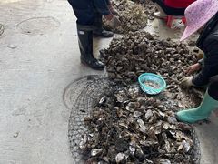 -闽粤南澳总镇府