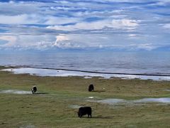 -青海湖国家重点风景名胜区