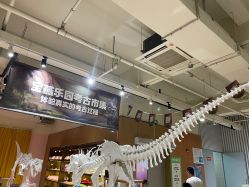 -宝燕乐园(闵行旗舰店)