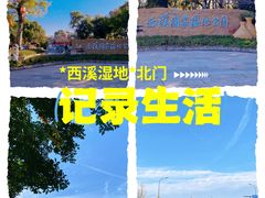 -西溪国家湿地公园