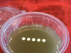 -盖饭邦·长沙菜馆(陆家嘴店)