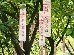 -西安大兴善寺