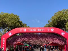 -南汇桃花村