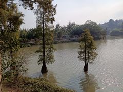 -星湖旅游景区七星岩