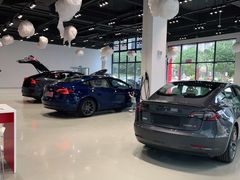 -TESLA 特斯拉(深圳观澜特斯拉直营钣喷中心)