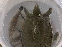 -粮心小农·大头虾亲子生态园(长发店)