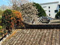 -乌山风景区