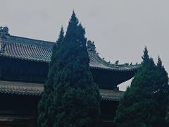 -报恩寺(平武县)