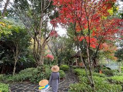 -和顺柏联温泉