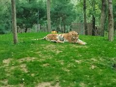 -北京野生动物园