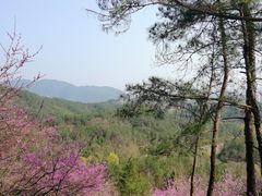-天台山赤城山景区