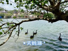 -茵特拉根酒店·西餐厅