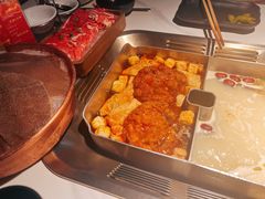 -九鼎轩脆毛肚火锅(南京东路店)