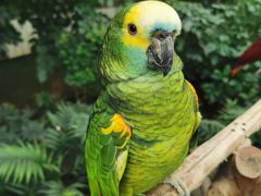 -南宫五洲植物乐园