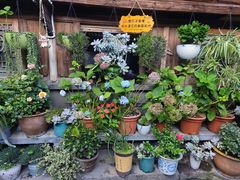 -龙姐私房菜(和顺古镇店)