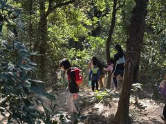 -洛阳白云山景区