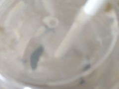 -古茗(安宁金牛街店)