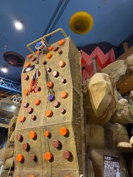 -卡通尼·Safari非洲探索乐园·生日会(金桥国际商业广场店)