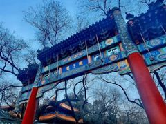 -北京国子监胡同