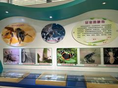 -上海昆虫博物馆