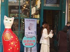 -猫咪博物馆(顶澳仔猫街店)