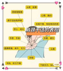 -香薇妮丝女子减肥院