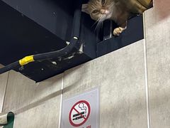 -小民大排档(马场角横路店)