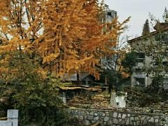 -水镜庄风景区