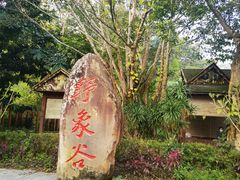 -野象谷景区