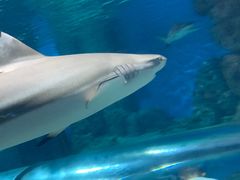 -福州罗源湾海洋世界旅游区