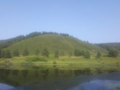-红花尔基樟子松国家森林公园