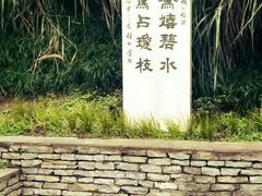 -重庆彩云湖湿地公园