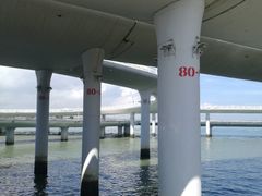 景点-演武大桥观景平台