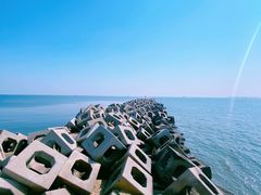-东疆建设开发纪念公园