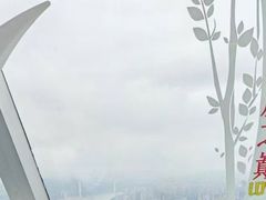 -WFC会仙楼观景台
