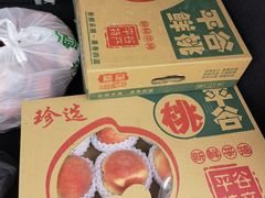 -华盛园卷子王农家菜水库鱼