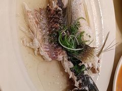 -稻香酒家·35年老字号(侨光店)