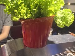 -刘记大块烤羊腿餐吧(北沙滩店)