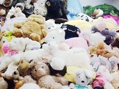 -静岸花卉园艺(三星坊店)