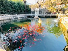 -红螺寺