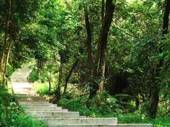 -黄埔油麻山森林公园