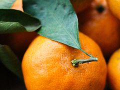 -南宁良凤江国家森林公园