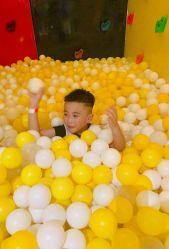 -宝燕乐园(闵行旗舰店)