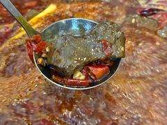 -黄潇洒老火锅(九眼桥宏济巷店)