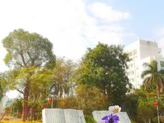 -广东中医药博物馆