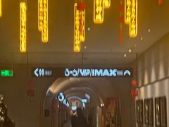 -万达影城(CBD万达广场IMAX店)