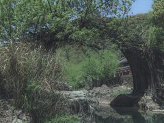 -鹿亭中村